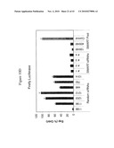 siRNA Targeting Interleukin-1 Receptor-Associated Kinase 4(IRAK4) diagram and image