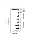 siRNA Targeting Interleukin-1 Receptor-Associated Kinase 4(IRAK4) diagram and image