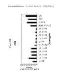 siRNA Targeting Interleukin-1 Receptor-Associated Kinase 4(IRAK4) diagram and image