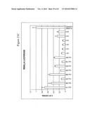 siRNA Targeting Interleukin-1 Receptor-Associated Kinase 4(IRAK4) diagram and image