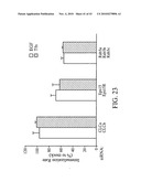 siRNA Targeting Interleukin-1 Receptor-Associated Kinase 4(IRAK4) diagram and image