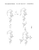 COMPOUNDS AND METHODS FOR INHIBITING SELECTIN-MEDIATED FUNCTION diagram and image