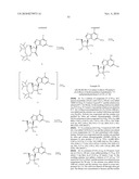 SYNTHESIS OF PURINE NUCLEOSIDES diagram and image