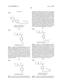 Pyridazinone Derivatives diagram and image