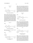 Pyridazinone Derivatives diagram and image