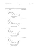 Pyridazinone Derivatives diagram and image