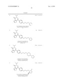 Pyridazinone Derivatives diagram and image