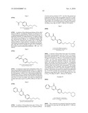 Pyridazinone Derivatives diagram and image