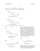 Pyridazinone Derivatives diagram and image