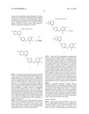 AURORA KINASE MODULATORS AND METHOD OF USE diagram and image