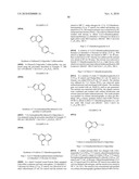 AURORA KINASE MODULATORS AND METHOD OF USE diagram and image