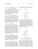 AURORA KINASE MODULATORS AND METHOD OF USE diagram and image