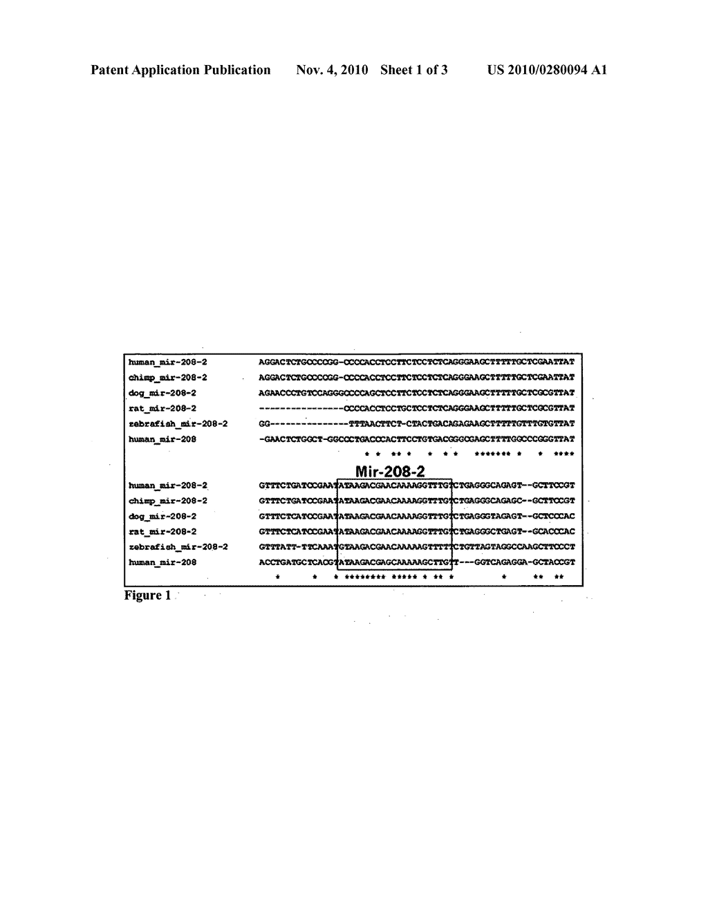 COMPOSITIONS AND METHODS TO TREAT MUSCULAR & CARDIOVASCULAR DISORDERS - diagram, schematic, and image 02