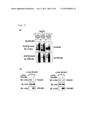 THERAPEUTIC AGENT FOR WOUNDS AND SCREENING METHOD FOR THE SAME diagram and image