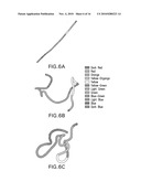  METHOD FOR DETERMINING AND PREDICTING PROTEIN AUTONOMOUS FOLDING diagram and image