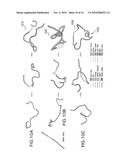  METHOD FOR DETERMINING AND PREDICTING PROTEIN AUTONOMOUS FOLDING diagram and image
