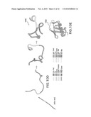  METHOD FOR DETERMINING AND PREDICTING PROTEIN AUTONOMOUS FOLDING diagram and image