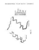  METHOD FOR DETERMINING AND PREDICTING PROTEIN AUTONOMOUS FOLDING diagram and image