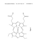 PREPARATION OF METAL MESOPORPHYRIN COMPOUNDS diagram and image