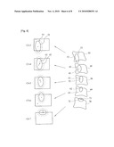 APPARATUS AND METHOD FOR ASSESSING ROTATIONAL BONE KINEMATICS diagram and image