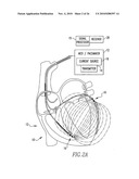 Method and apparatus for monitoring an organ of a patient diagram and image