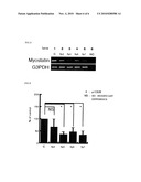 Biostimulation Apparatus, Gene Control Apparatus, and Muscle-Related Disorder Therapeutic Apparatus diagram and image