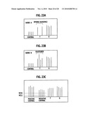  METHOD AND AN APPARATUS FOR DETERMINING NUCLEOTIDE SEQUENCE, AND A COMPUTER PROGRAM PRODUCT TO BE EXECUTED BY THE APPARATUS diagram and image