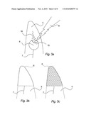 METHOD FOR DETECTION OF CHARGE ORIGINATING FROM LIGHTNING diagram and image