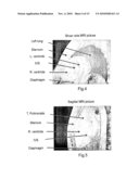 STATE MACHINE USER AND VALIDATION INTERFACE SYSTEM diagram and image