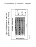 SYNTHETIC OPLOPHORUS LUCIFERASES WITH ENHANCED LIGHT OUTPUT diagram and image