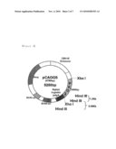 PRODUCTION METHOD OF CYST EXPRESSED TRANSGENIC ANIMAL USING PKD2 GENE diagram and image