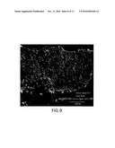 In-situ bwr and pwr CRUD flake analysis method and tool diagram and image