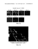 In-situ bwr and pwr CRUD flake analysis method and tool diagram and image