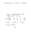 SEMI-PERSISTENT SCHEDULING METHOD AND APPARATUS BASED ON STATISTICALLY MULTIPLEXING IN TIME AND FREQUENCY RESOURCES diagram and image