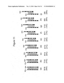 Method and apparatus for fingerprint motion tracking using an in-line array diagram and image