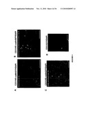 TREATMENT OF TUMORS BY ABLATING BONE MARROW-DERIVED ENDOTHELIAL PROGENITOR CELLS diagram and image