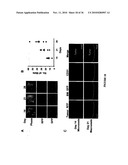 TREATMENT OF TUMORS BY ABLATING BONE MARROW-DERIVED ENDOTHELIAL PROGENITOR CELLS diagram and image