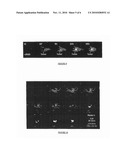 FLUORESCENT EMULSIONS FOR OPTICAL IMAGING diagram and image