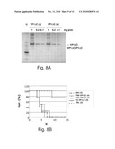 VIRAL CAPSID PROTEINS AND ANY PEPTIDES OR COMPOSITIONS THEREOF FOR THE TREATMENT OF PATHOLOGIC DISORDERS diagram and image