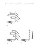 COMPOSITIONS FOR THE PREPARATION OF MATURE DENDRITIC CELLS diagram and image