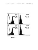 COMPOSITIONS FOR THE PREPARATION OF MATURE DENDRITIC CELLS diagram and image