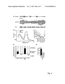 ADENOSINE AND ITS MIMETICS. MODULATORS, TRANSPORT INHIBITORS, AND RECEPTOR AGONISTS AS A THERAPEUTIC TOOL TO REPLACE OR IMPROVE THE EFFICACY OF DEEP BRAIN STIMULATION diagram and image