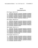 Anti-CD38 human antibodies and uses thereof diagram and image