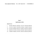 Anti-CD38 human antibodies and uses thereof diagram and image