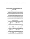 Anti-CD38 human antibodies and uses thereof diagram and image