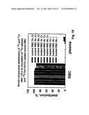 TARGETING RECOMBINANT THERAPEUTICS TO CIRCULATING RED BLOOD CELLS diagram and image