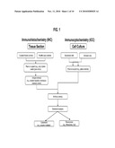 ANTIBODIES SPECIFIC FOR THE C-TERMINAL REGULATORY DOMAIN OF EGFR AND THEIR USE diagram and image