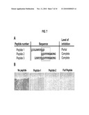 ANTIBODIES SPECIFIC FOR THE C-TERMINAL REGULATORY DOMAIN OF EGFR AND THEIR USE diagram and image