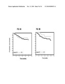 ANTIBODIES SPECIFIC FOR THE C-TERMINAL REGULATORY DOMAIN OF EGFR AND THEIR USE diagram and image