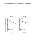 ANTIBODIES SPECIFIC FOR THE C-TERMINAL REGULATORY DOMAIN OF EGFR AND THEIR USE diagram and image